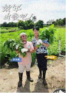 机智医生生活 韩国在线电影